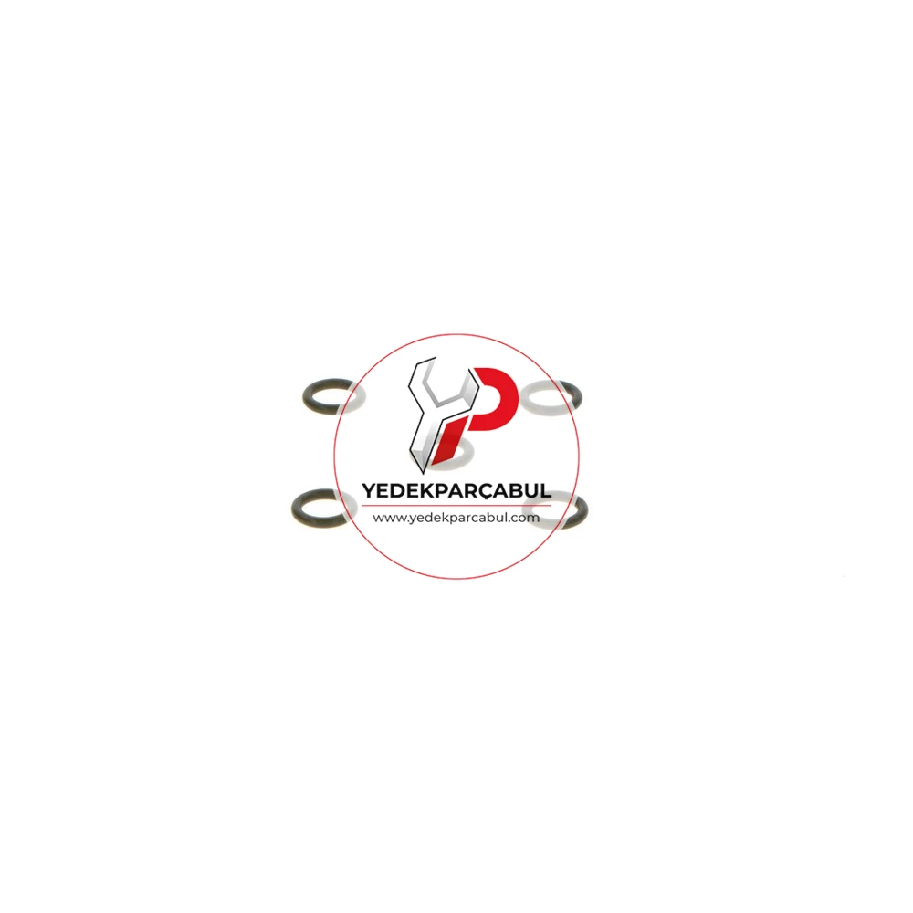 Bosch O-Ring