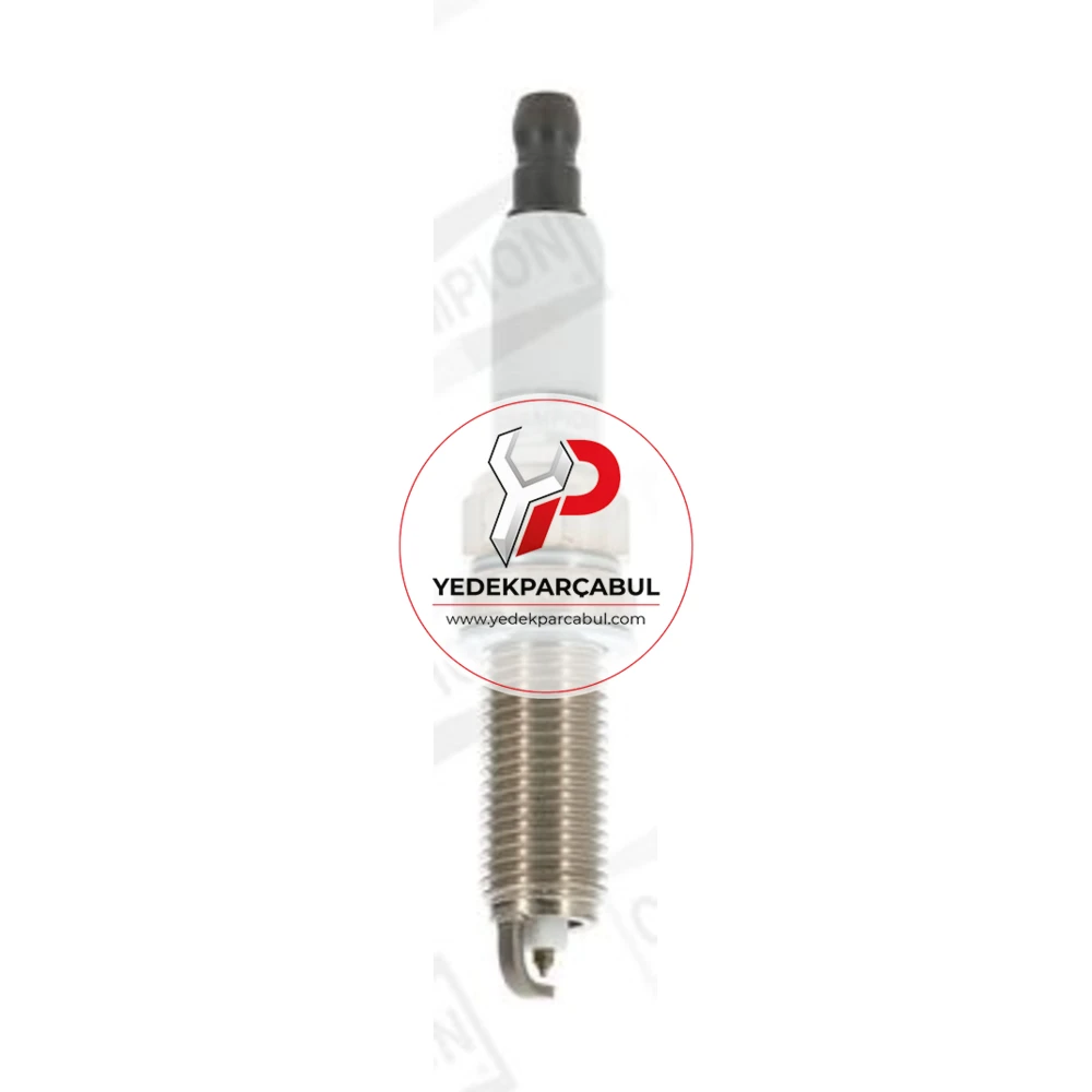 Champion Buji