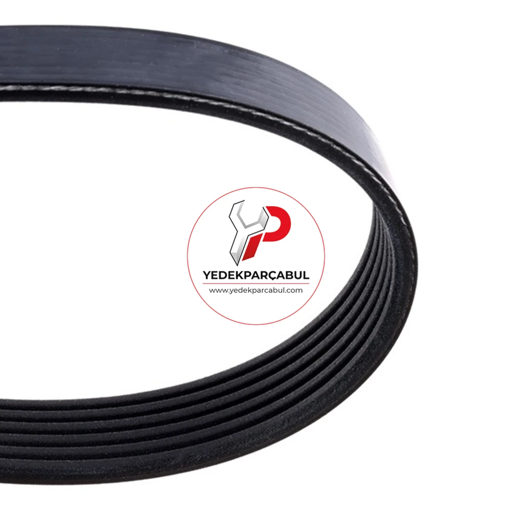 Dayco V İayısı