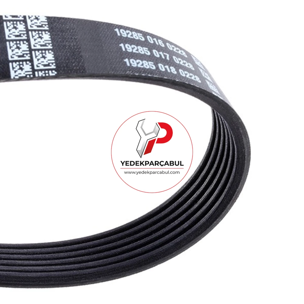 Dayco Kanallı Kayış