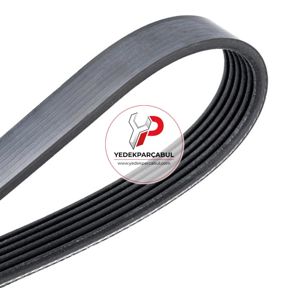 Dayco V İayısı