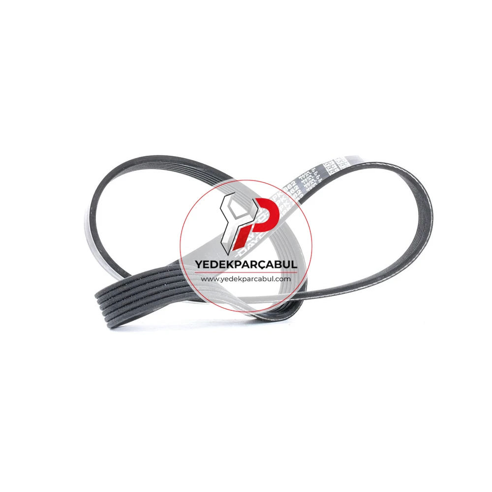 Dayco Kanallı Kayış