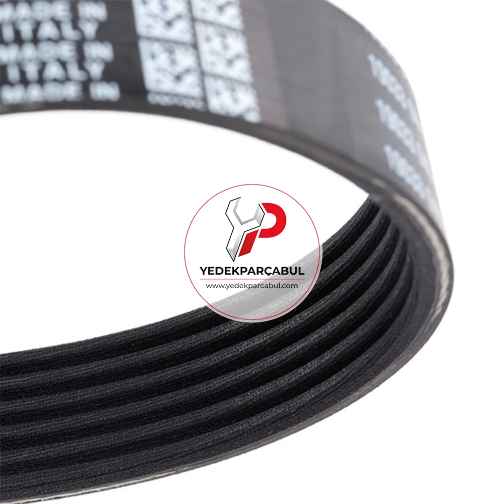 Dayco Alternatör Kayışı