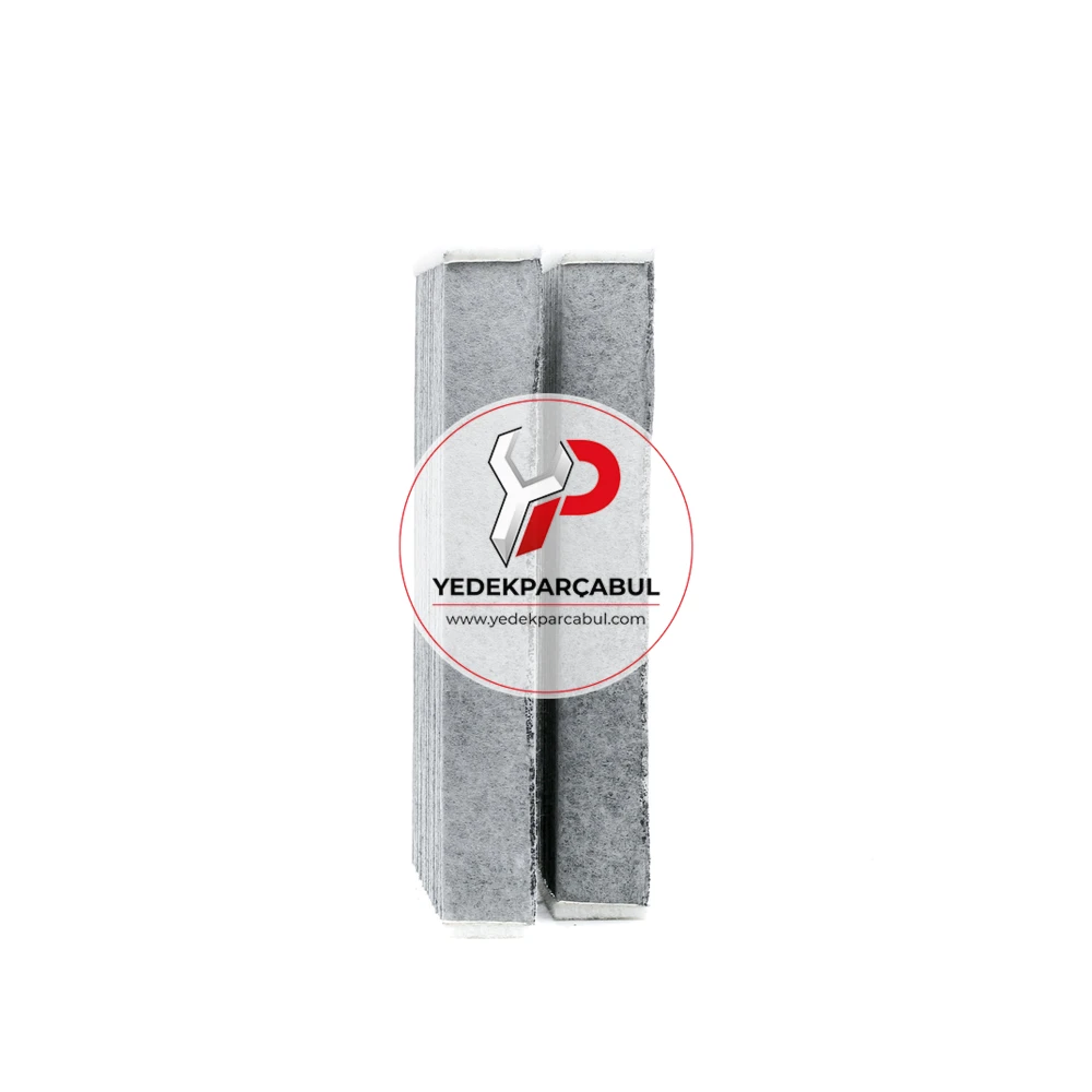 Filtron Polen Filtresi Takımı Karbonlu