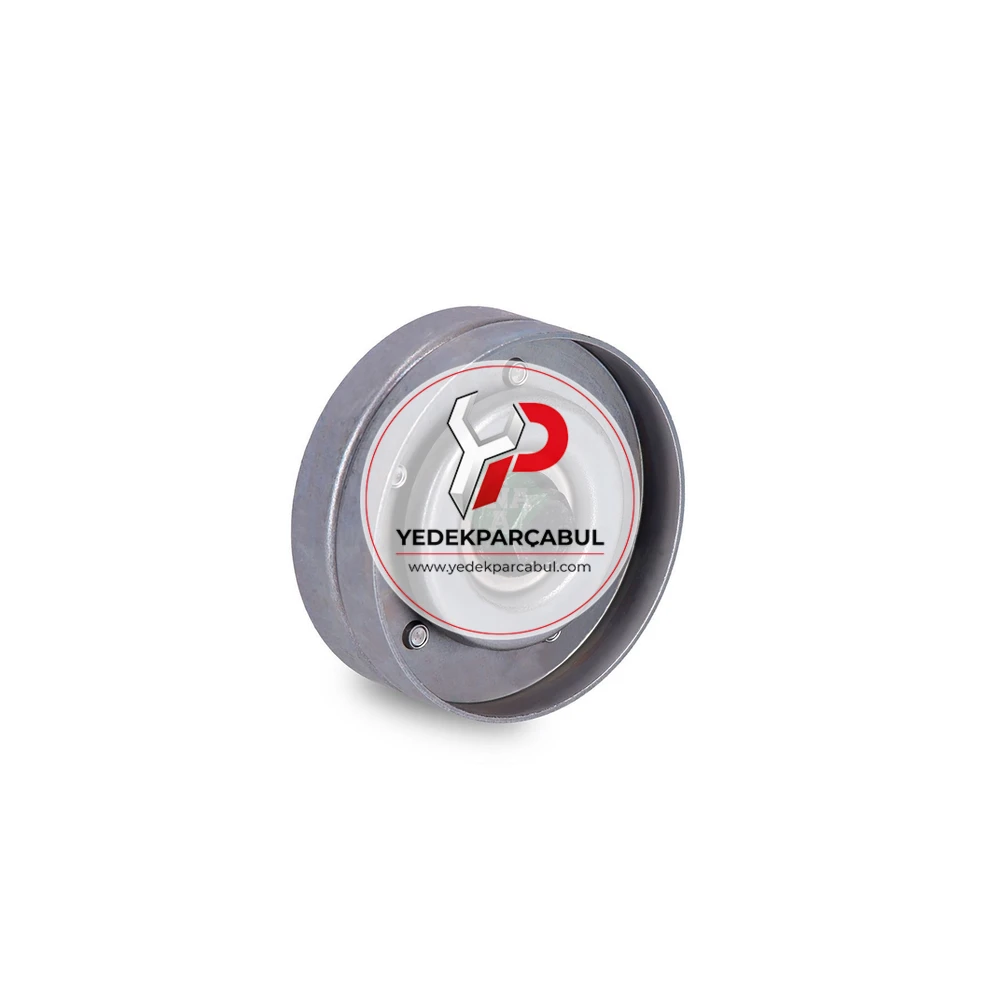 Ina Alternatör Gergi Rulmanı