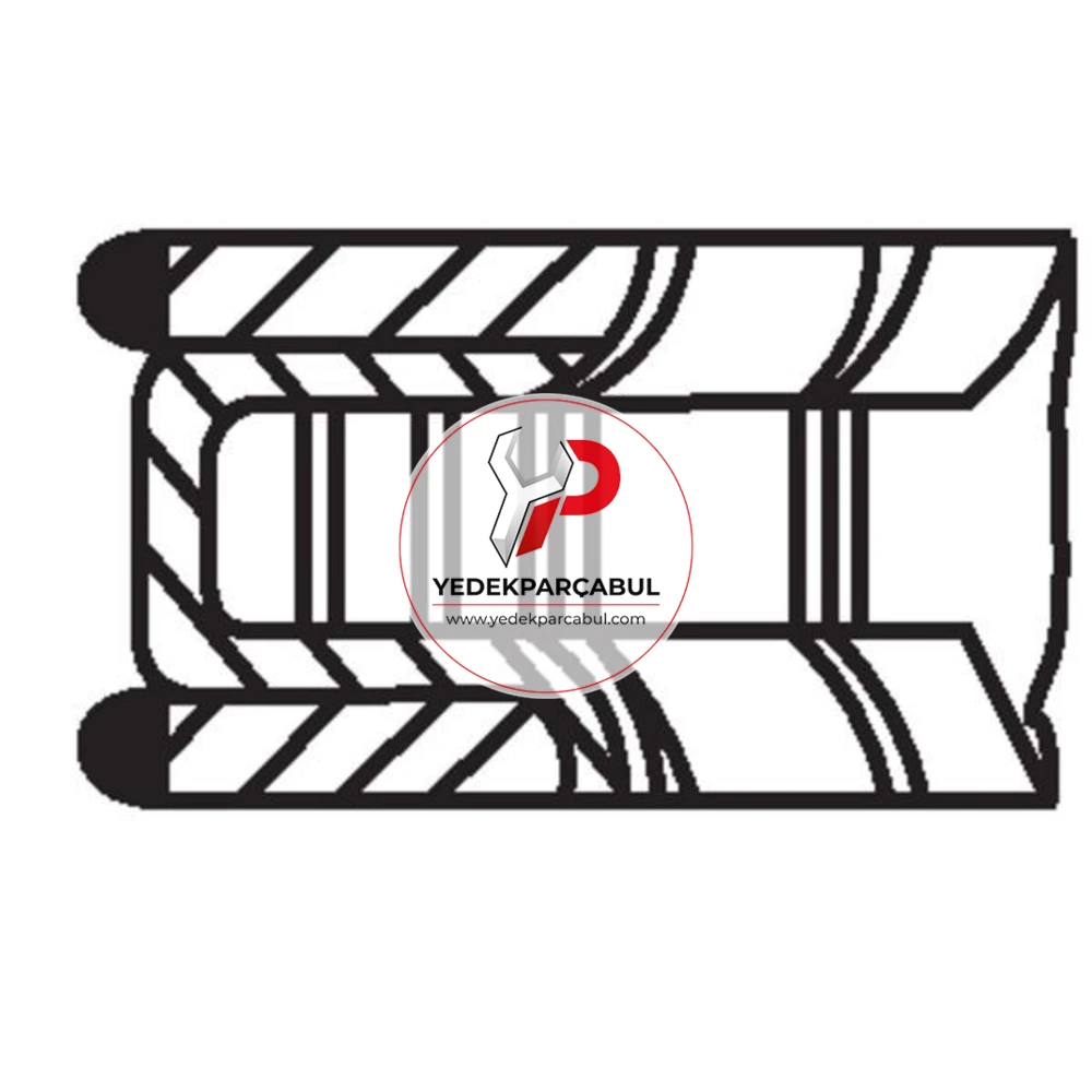 Mahle Motor Segmanı