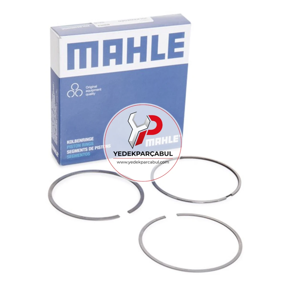 Mahle Segman