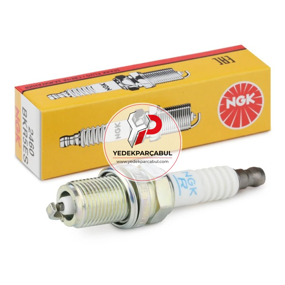 NGK Buji