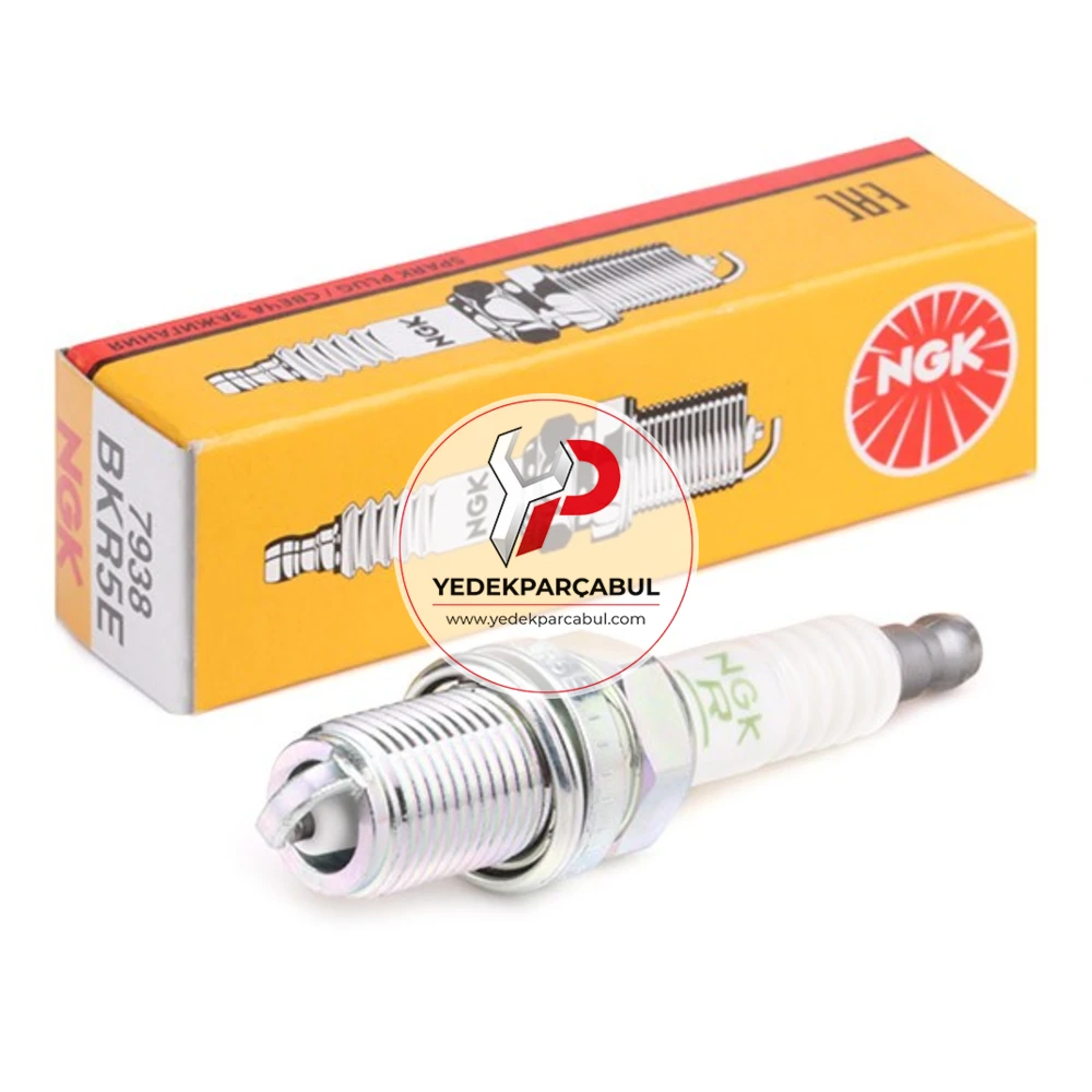 NGK Buji