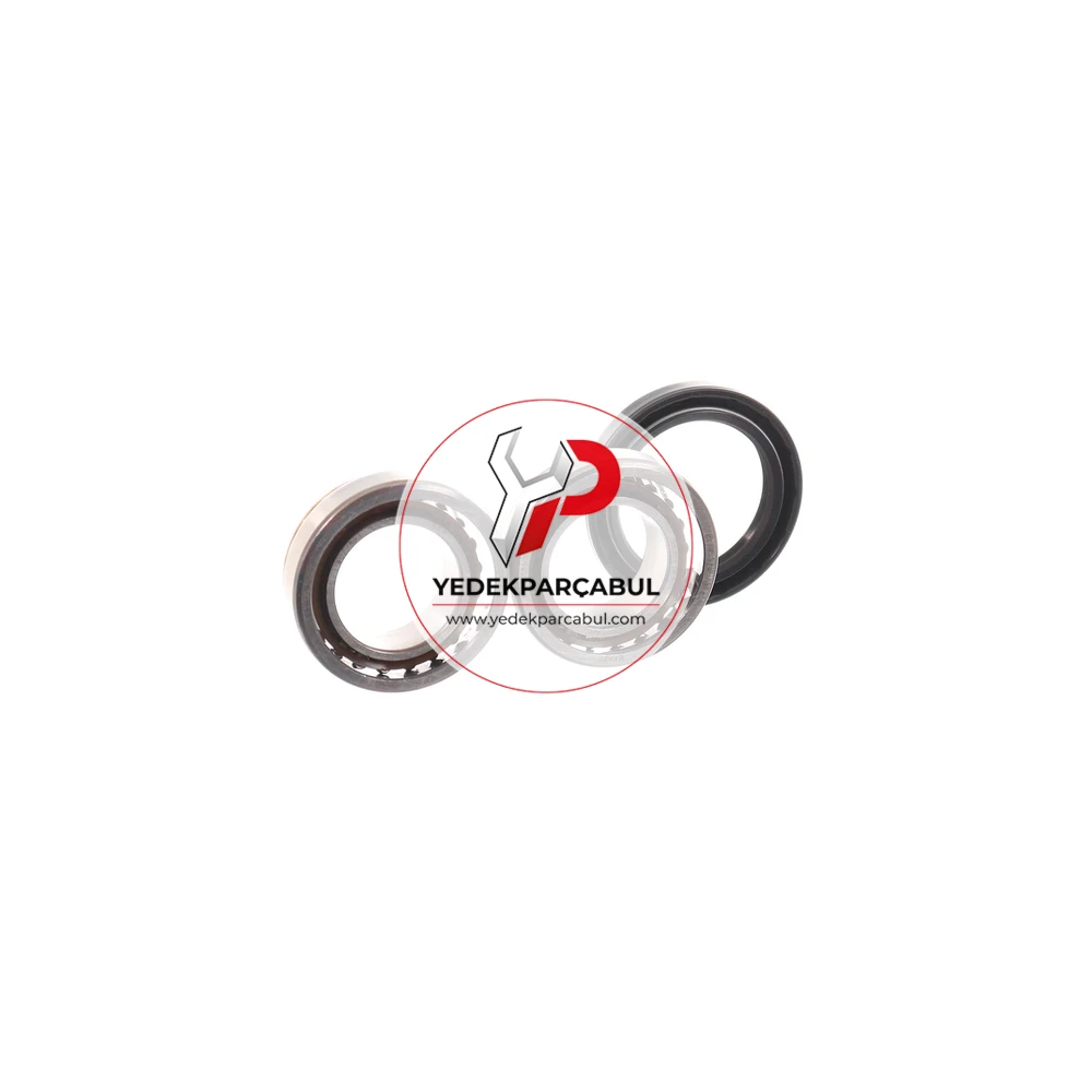 SKF Arka Teker Rulmanı Kit