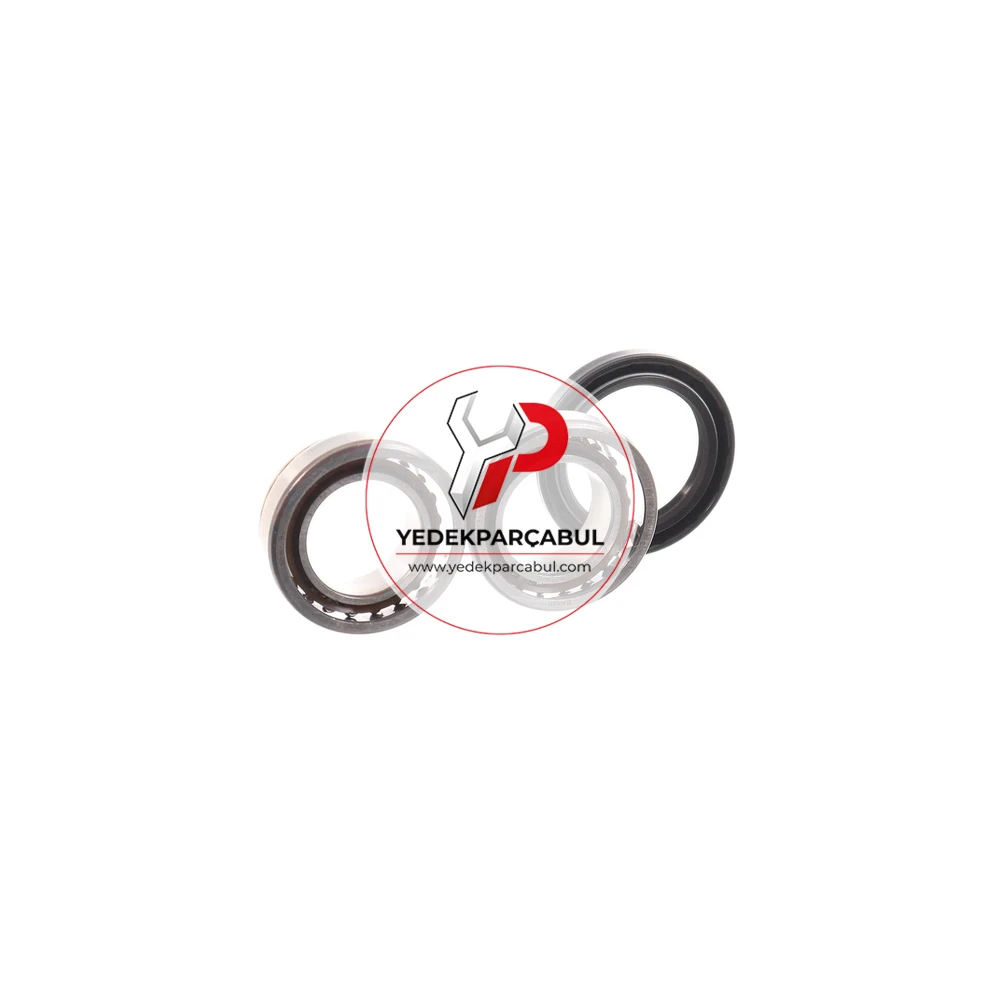 SKF Arka Teker Rulmanı Kit