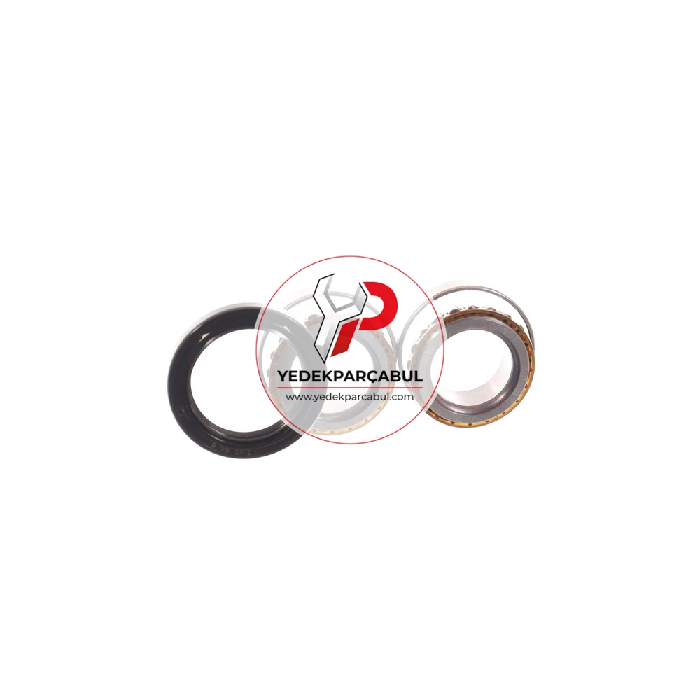 SKF Arka Teker Rulmanı Kit