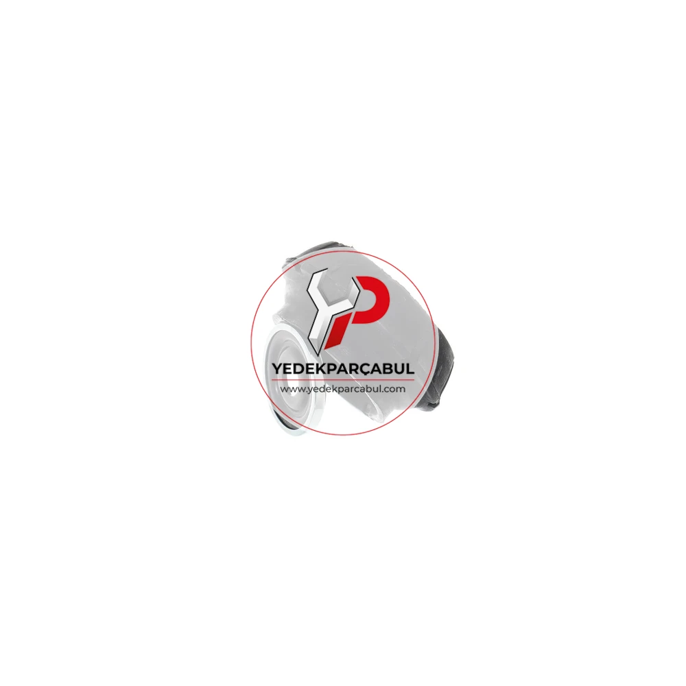 SKF Torsiyon Tamir Takımı