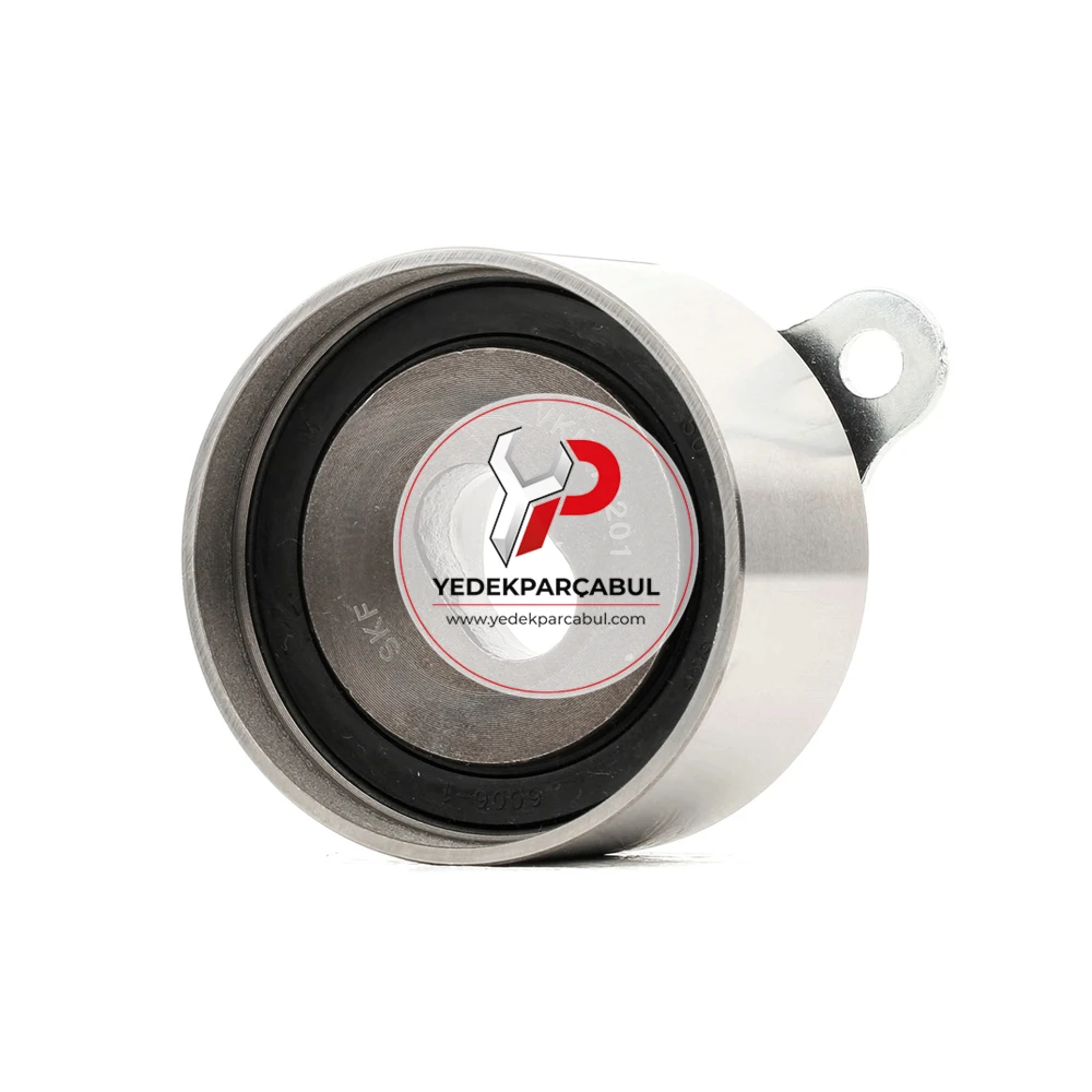SKF Eksantrik Gergi Rulmanı