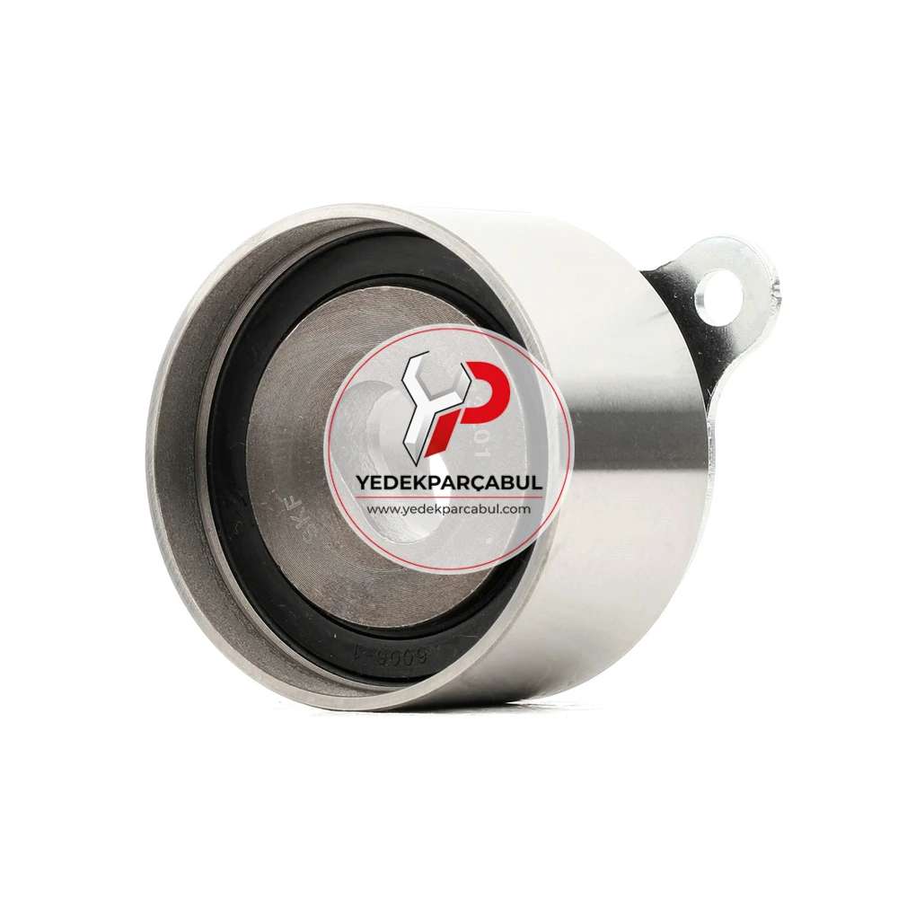 SKF Eksantrik Gergi Rulmanı