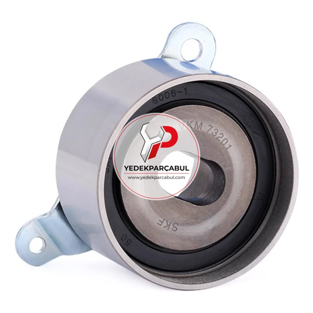 SKF Eksantrik Gergi Rulmanı