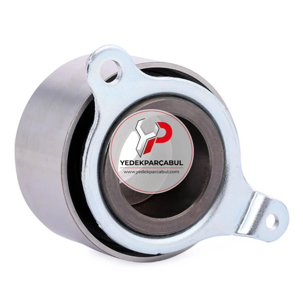 SKF Eksantrik Gergi Rulmanı