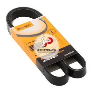 V Kayışı