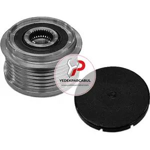 Alternator Kasnagi Rulmanli