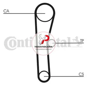 Triger Kayısı