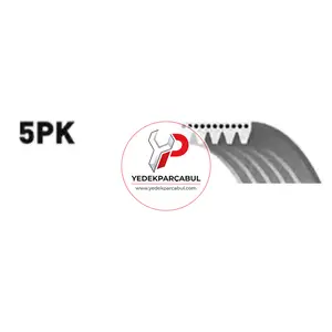 Kanallı Kayış