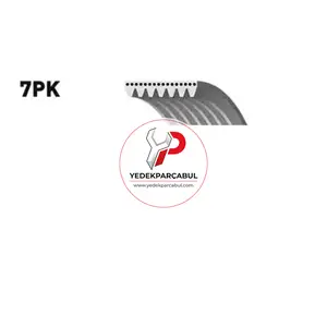 Kanallı Kayış