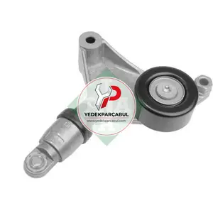 Alternatör Kayışı Otomatik Gergi Rulmanı Komple