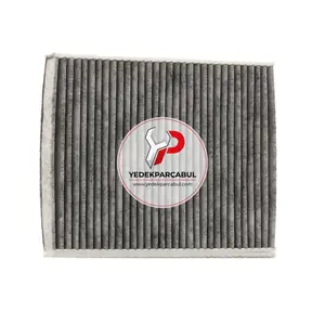 Polen Filtresi Karbonlu