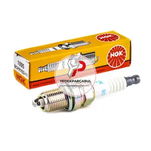 NGK BUJI