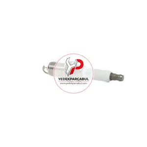 Buji Platin