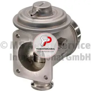 Egr Valfi