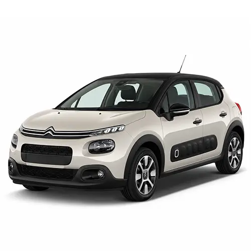 C4 Cactus